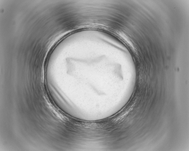 X0000086970940200705141647