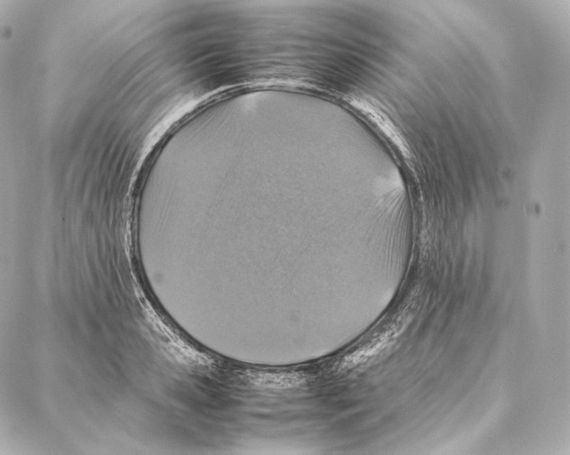 X0000086970941200705141647