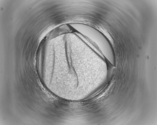 X0000086970944200705141647