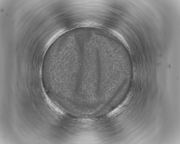 X0000086970946200705141647