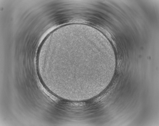 X0000086970947200705141647