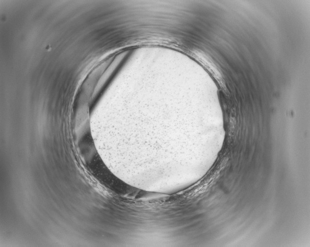 X0000086970948200705141647