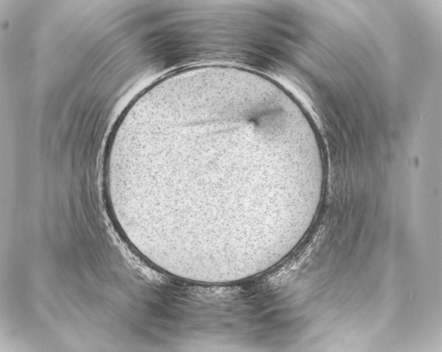 X0000086970949200705141647