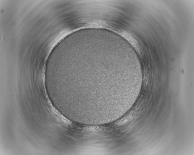 X0000086970950200705141647