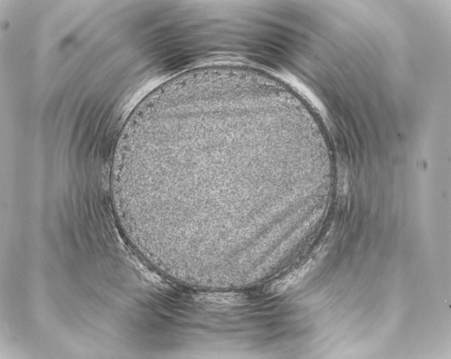 X0000086970953200705141647