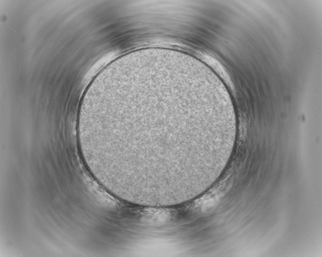 X0000086970954200705141647