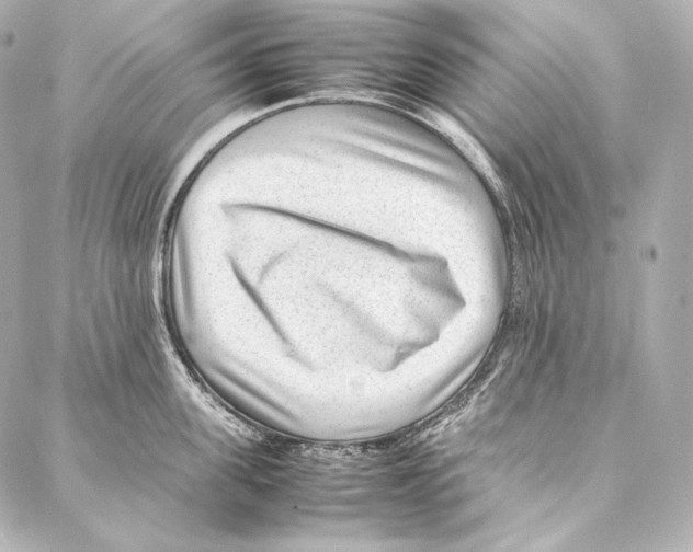 X0000086970955200705141647