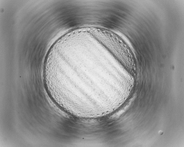 X0000086970957200705141647