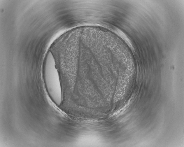 X0000086970958200705141647