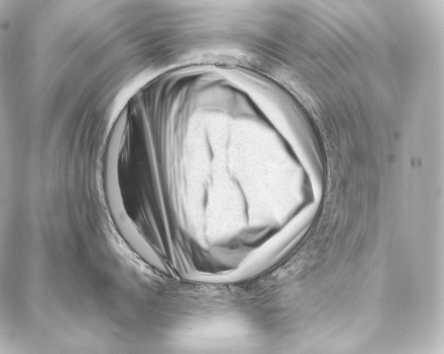 X0000086970960200705141648