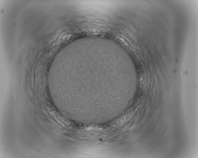 X0000086970961200705141647