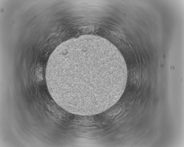 X0000086970962200705141647