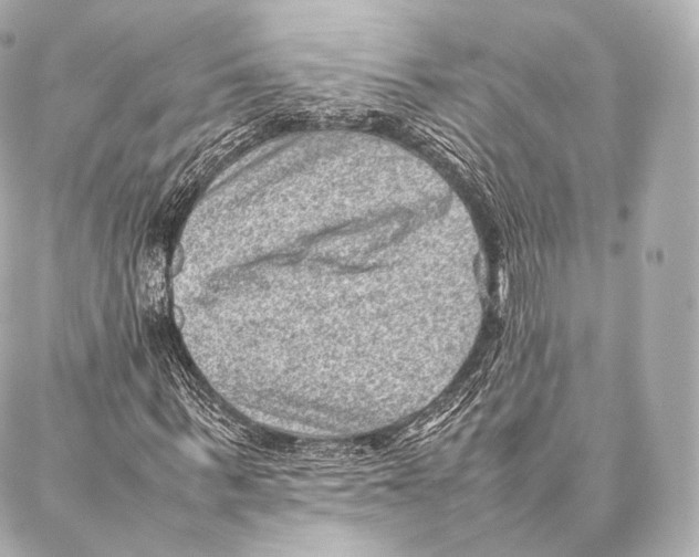 X0000086970963200705141647