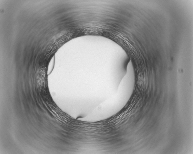 X0000086970964200705141647