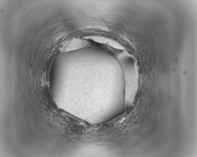 X0000086970965200705141647