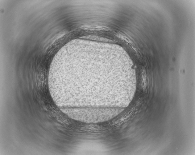 X0000086970966200705141647