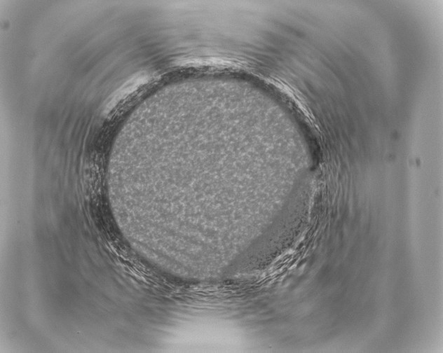 X0000086970967200705141647