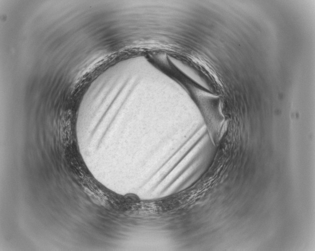 X0000086970968200705141647