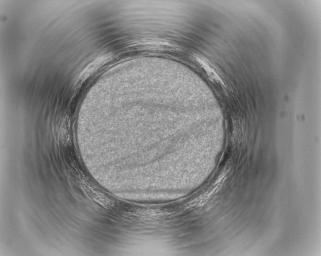 X0000086970970200705141647