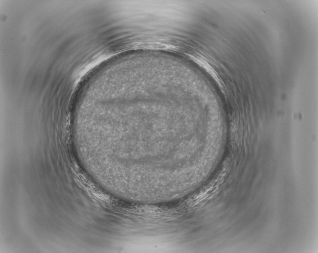 X0000086970971200705141647