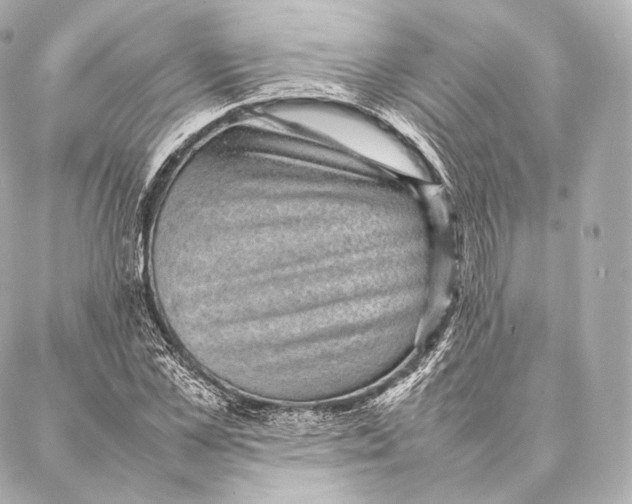 X0000086970973200705141647