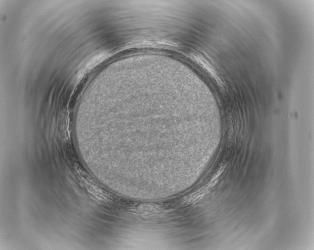 X0000086970974200705141647