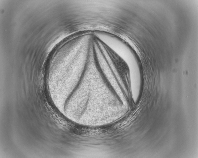 X0000086970975200705141647