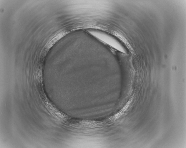 X0000086970977200705141646