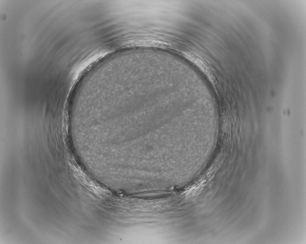 X0000086970979200705141646