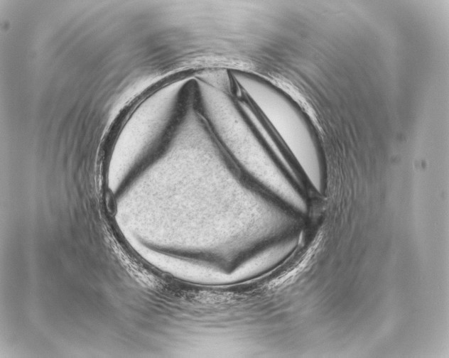 X0000086970981200705141646