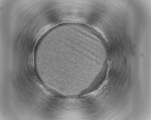 X0000086970982200705141646