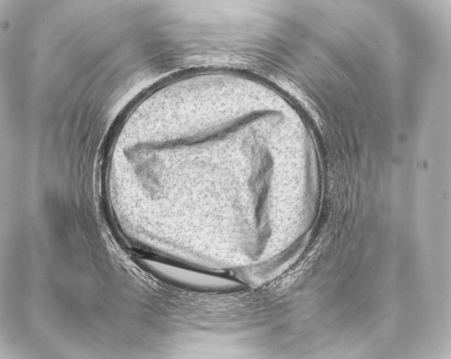 X0000086970983200705141646