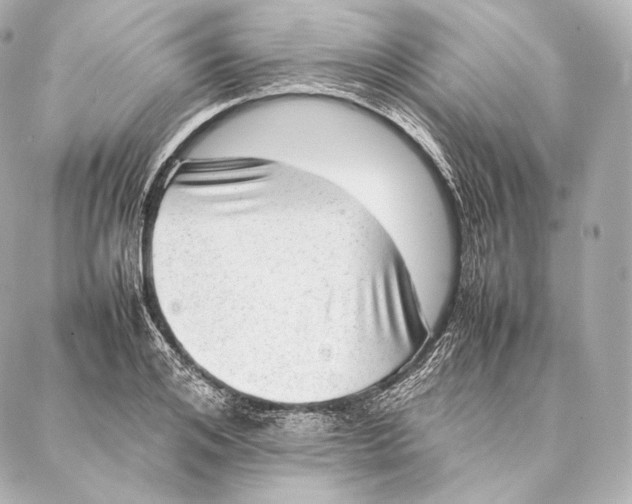 X0000086970984200705141646