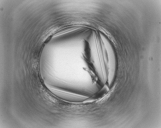 X0000086970985200705141646