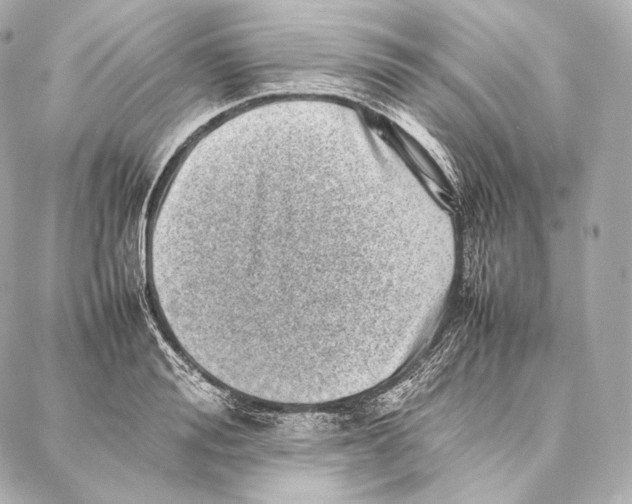 X0000086970988200705141646