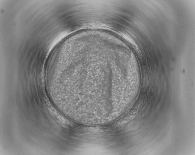 X0000086970990200705141646