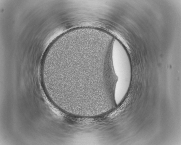 X0000086970991200705141646