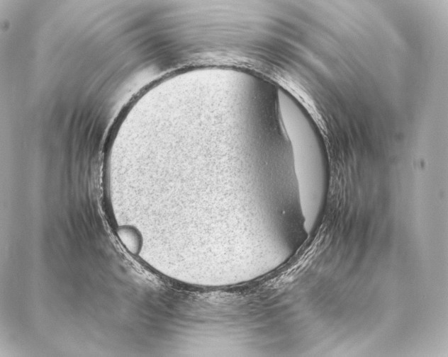 X0000086970992200705141646