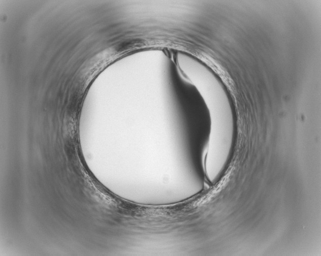 X0000086970993200705141646