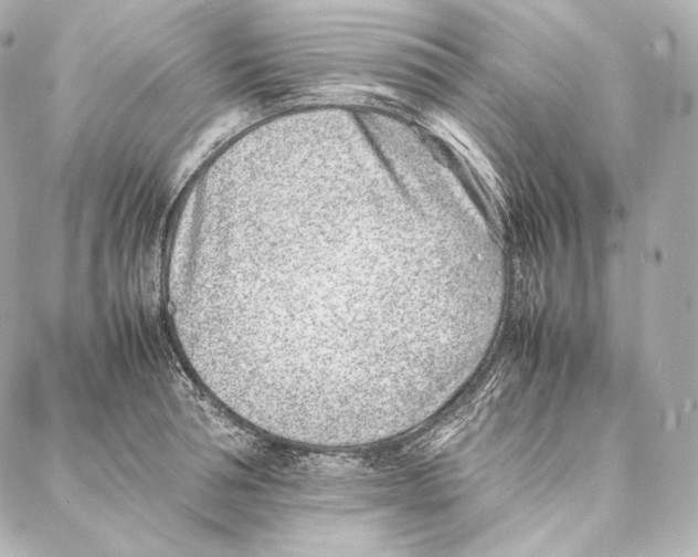 X0000086970994200705141646