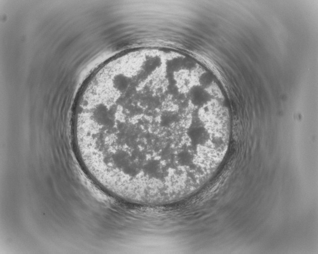 X0000086970995200705141646