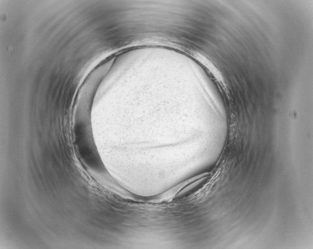 X0000086970996200705141646