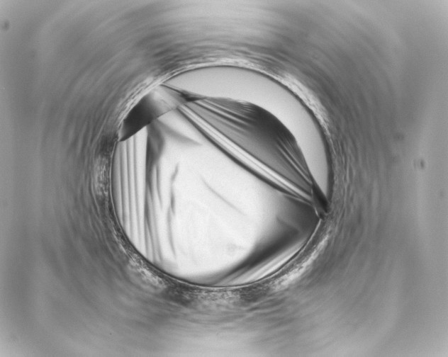 X0000086971001200705141646