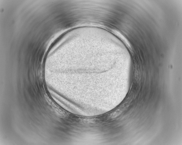 X0000086971004200705141646