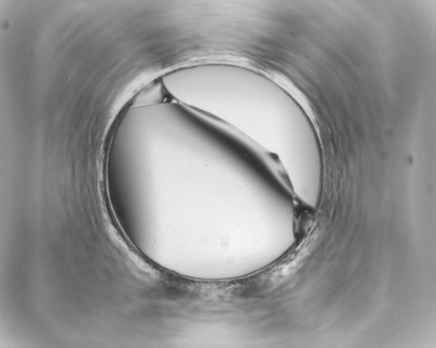 X0000086971005200705141646