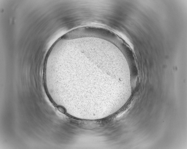 X0000086971007200705141646