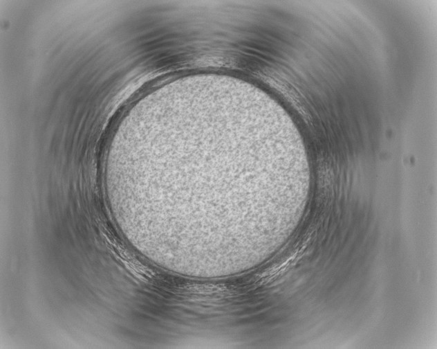 X0000086971023200705141645