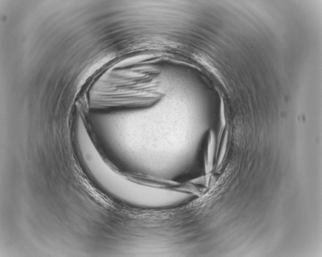 X0000086971026200705141645