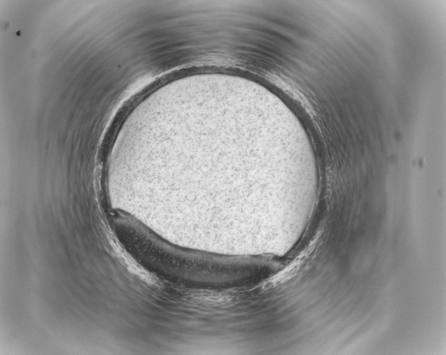 X0000086971029200705141646