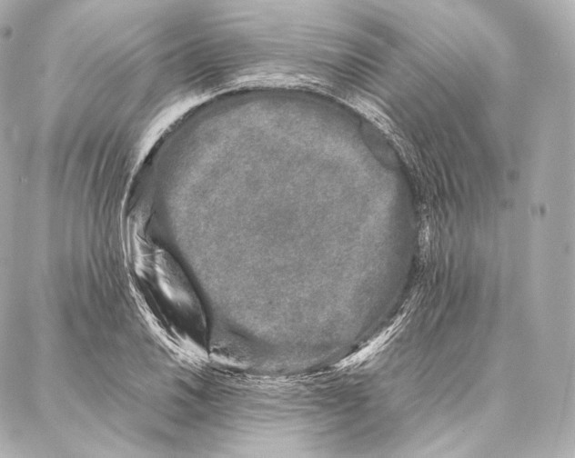 X0000086971030200705141646